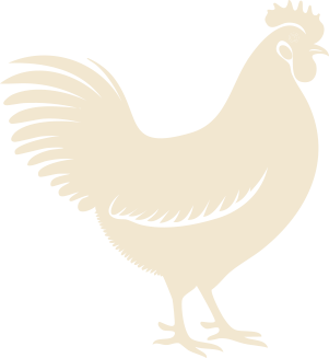 chik Icon